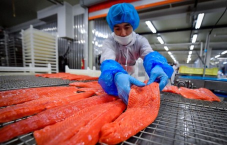 ����������� ����� ������� ���� ��� ���������: �������� �������