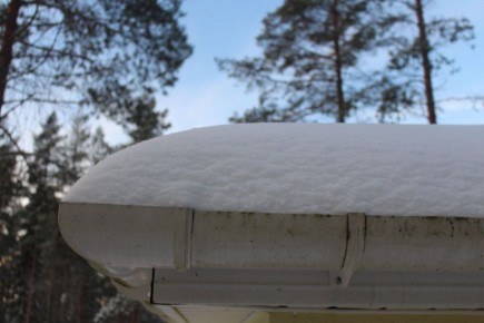 Зимние превращения сада: как снег преобразил природу