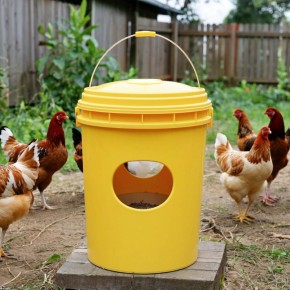 ��� �������� ����� ������: ������� �������� �� ������������ ����� �� 30 �����