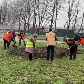 На круговом пересечении улиц Шогенова и Профсоюзной ведутся работы по подготовке к высадке многолетних растений