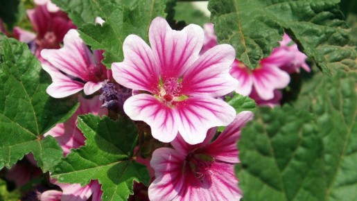 ������: ��������� ������ ��� ������ ����