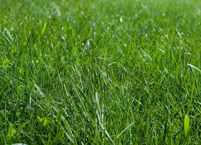 ����������� ��������� ������ � ��������� �� ����