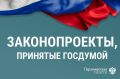 Новые законы партии: итоги заседания Госдумы 24 марта