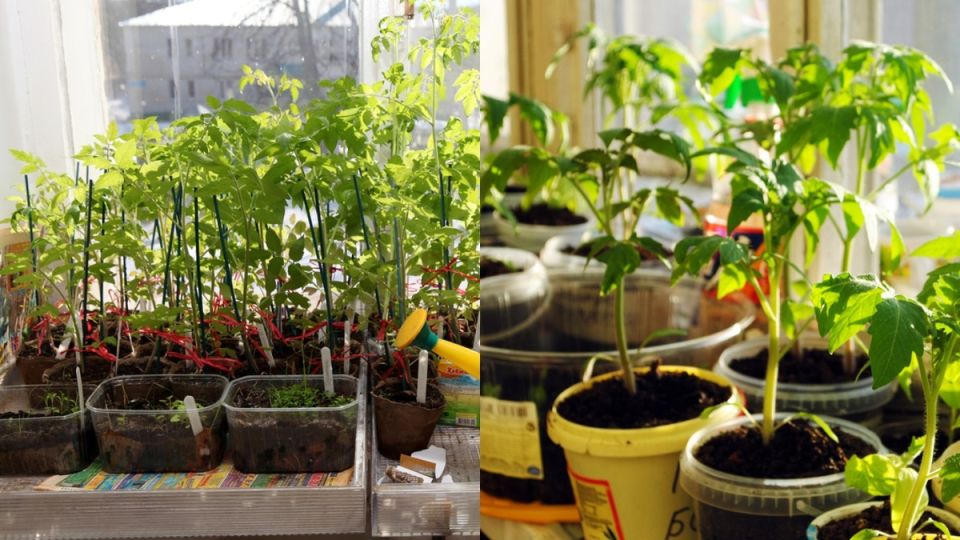 ��� ��������� ��������� ������� ��� ��������� ������� ��� ������� ������