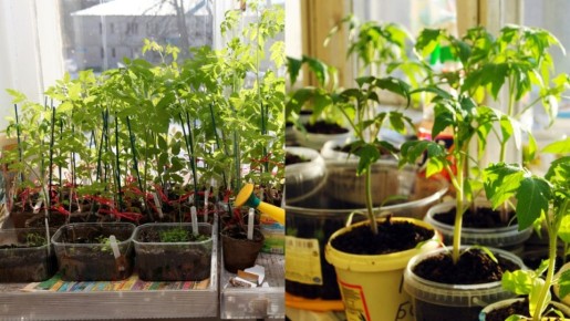 ��� ��������� ��������� ������� ��� ��������� ������� ��� ������� ������