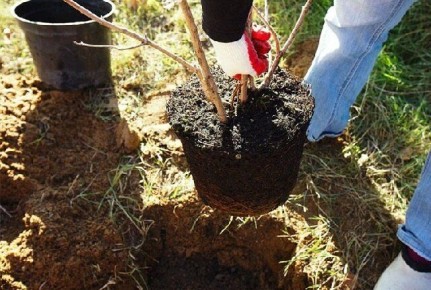 ��� ��������� �������� ������: ������� ��������� ����� � �������� ������