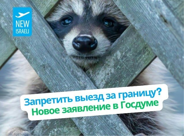 Госдума предлагает ограничить выезд за границу для россиян