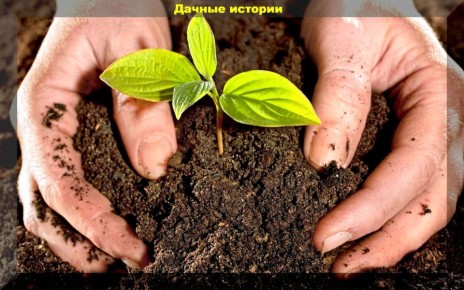 ��� ������ � ����� ������ �� ������: ������� �������� �����������