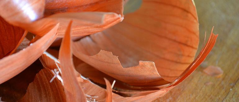 Луковая шелуха: секреты натурального земледелия