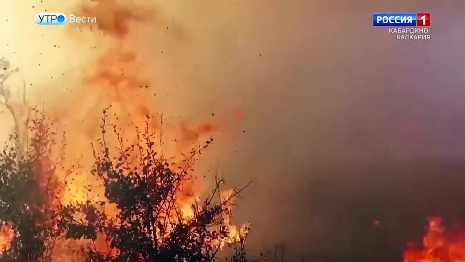 ��� ���������-�������� ����������: ��� ����� ����� ����� �������� � ��������!