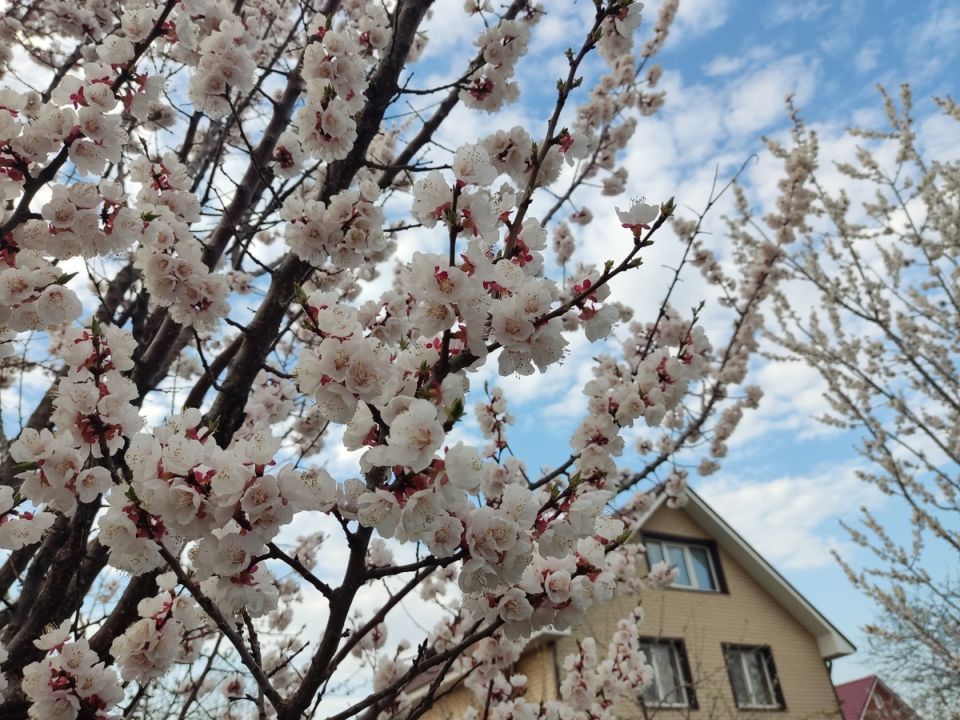 ����������� ������� ������� ���� � ������ ����������