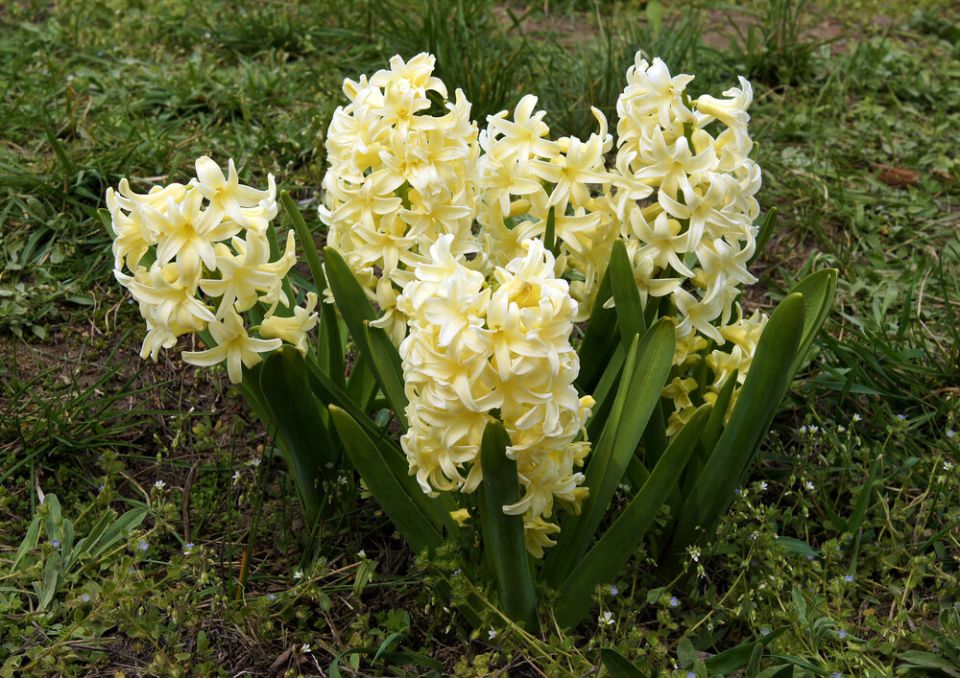 ����� ������ �����: ������ � ��������� �������� � ����� ����