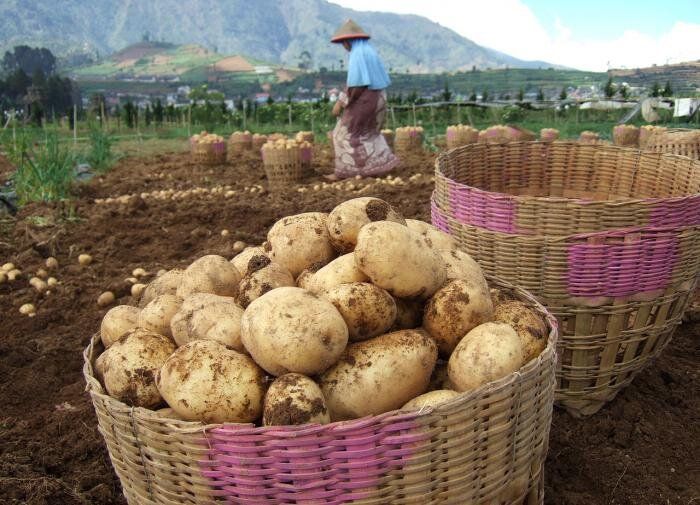 ���������� ����: ��������� �� ������� ����� � ������ ��������