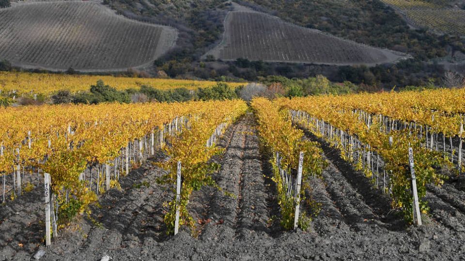 �������� ������������ ��� � ������: ����� ������ �� ���?