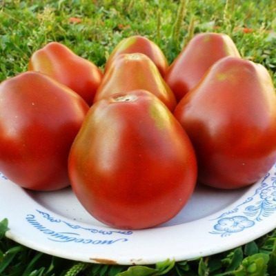 ����� ��������: ��������� ����� ��� ��������������� � �������