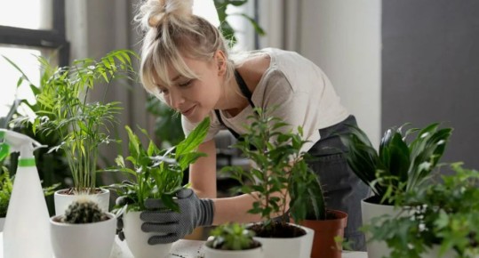 ��� ��������� �������� ����� �������� ���� ����������� �������� ���� ������