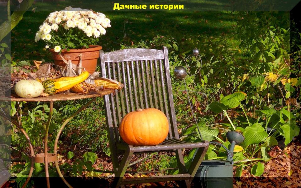 ������ �� ����� ������ ������� ���������� ��������