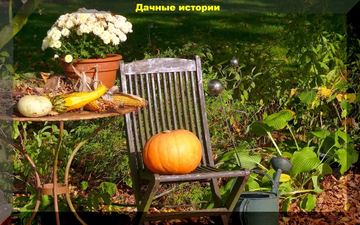 Ответы на самые частые вопросы начинающих дачников