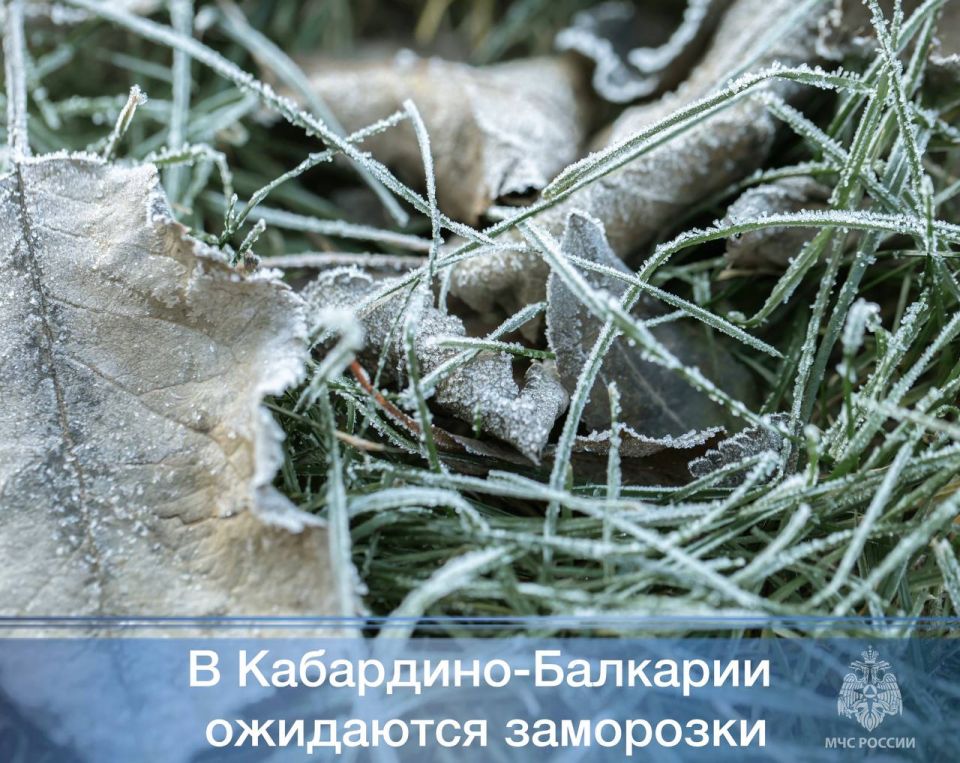 ��� ���������-�������� �����������!