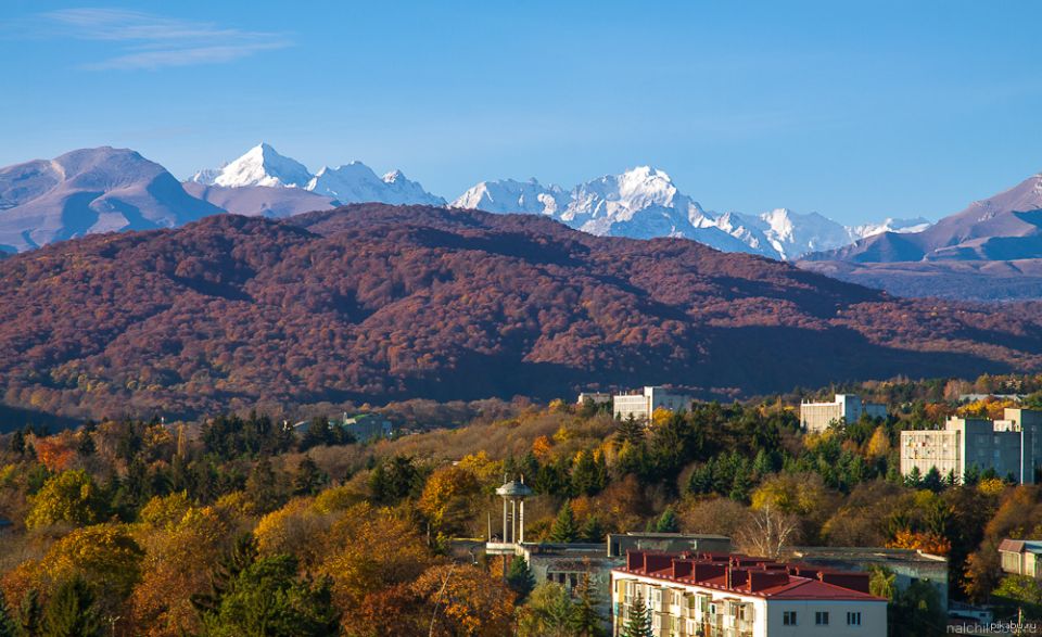 Жительница Баксана лишилась более 190 тысяч рублей из-за перехода по подозрительной ссылке