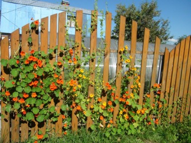 ���������: ��� ������� ���� ��� ���� � ������� ����� ������������ ��������