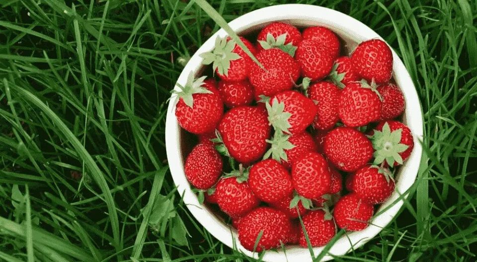 ������ ������� �������� ������: ��������������� ���������