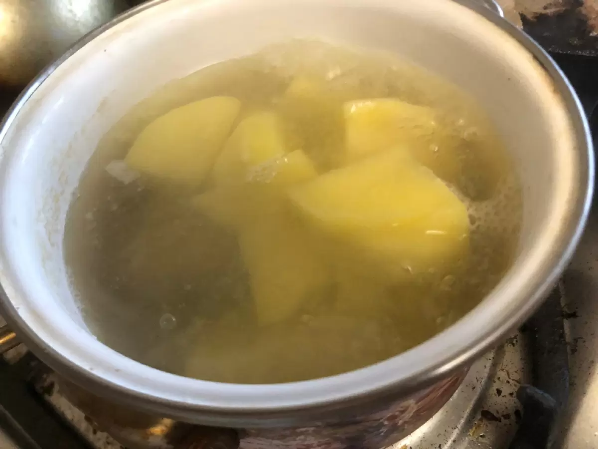 Ностальгия по розам и новые домашние питомцы: жизнь за границей привычного