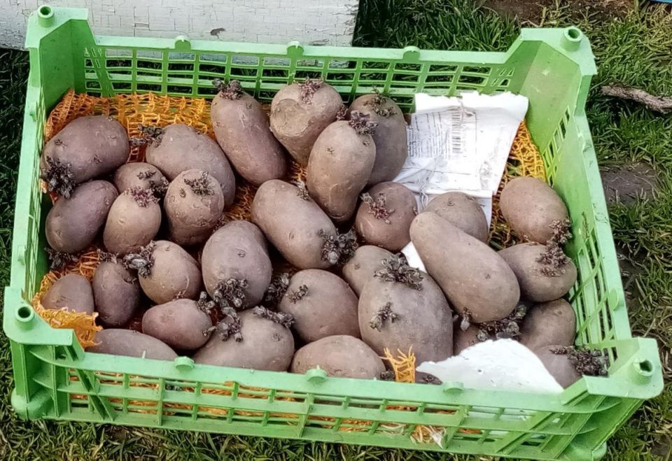 ��������� �� ������: ����������� � ������� ����������