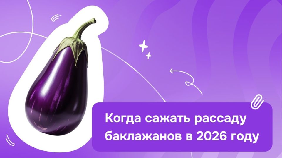 ����� ���������� ������� ����������: ������ �� 2026 ���