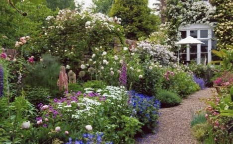 Уход за многолетниками: как правильно рассаживать для яркого цветника