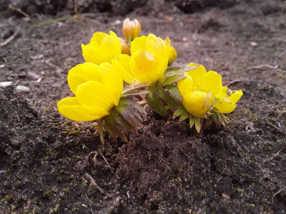 ��� ������: �������� ������ ����� ������� ����