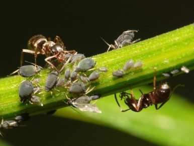 ������� � ����� ���� � ����