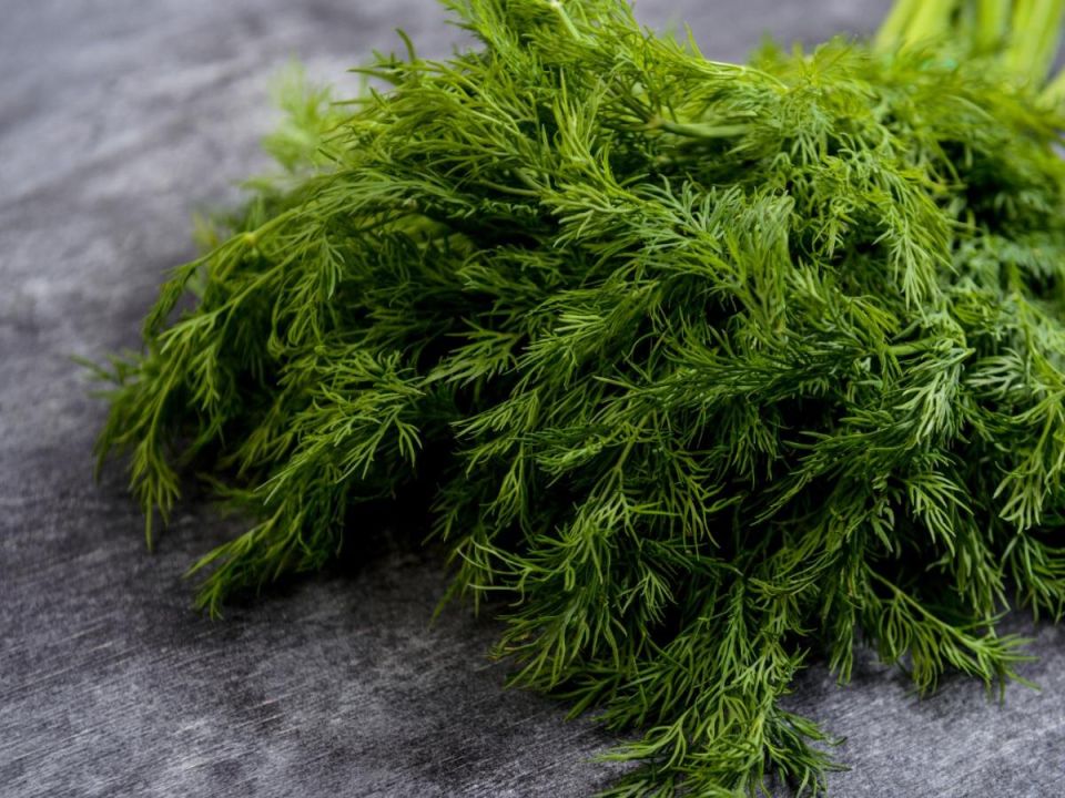 ��� ����������� ����� ������ �� �����: ������� ����� � ������ ���������