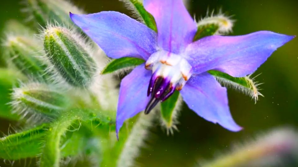 ��������� �����: ������ �������� � ������ �� ����