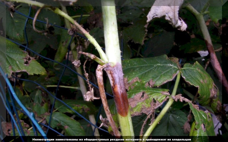 ������ �� ����: ��� ����� ����� ��������� � ����������� ����� ����