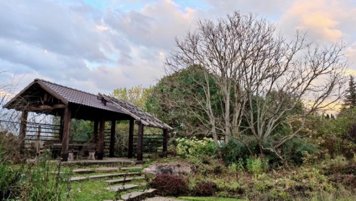 Сад как искусство: открытие уникального пространства от Людмилы Бубаник