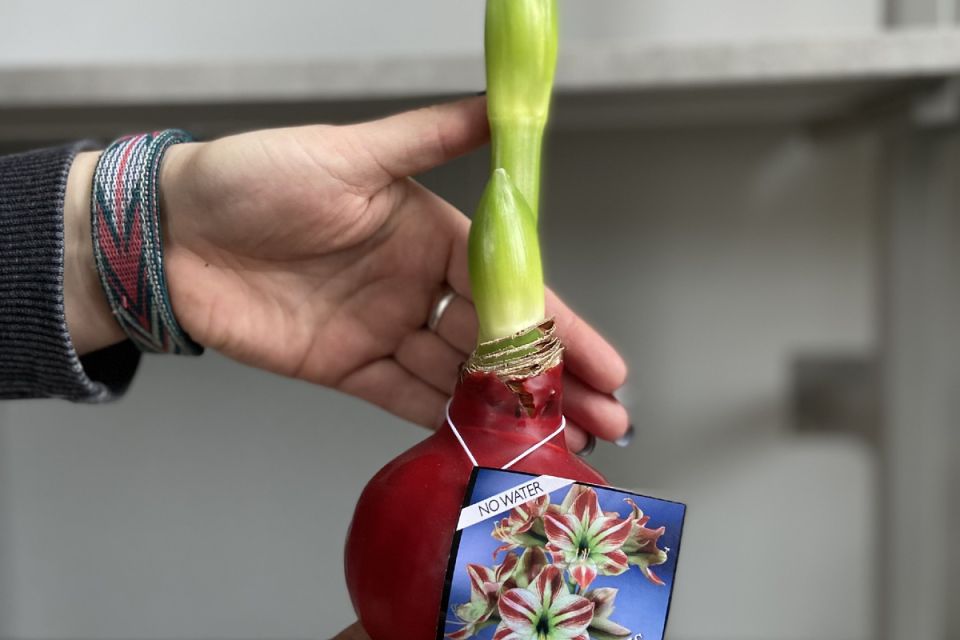 ��� ��������� ��������� � �����: ������ ��� ���������