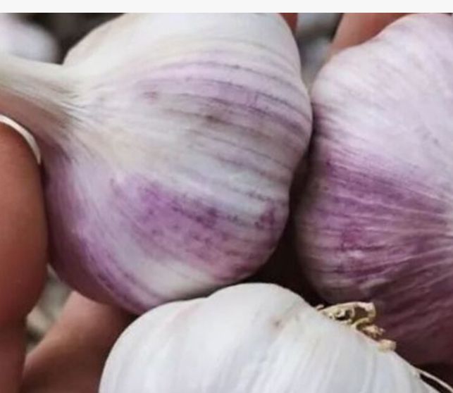 ��� ��������� ������ �� ����� �������