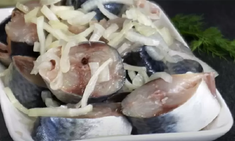 Секреты быстрой засолки скумбрии по северным традициям