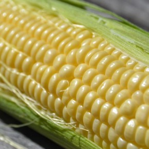 ��� ��������� �������� ������ ���������: ������� ������� ������