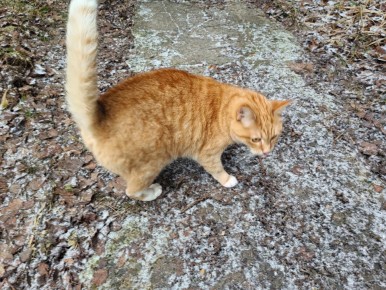 ���� �� �������: ������ �� ������� ��������� � 48