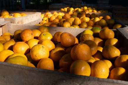 ���������� ����� � ������ ����: ������ ��������, � ��������� ���������� ���������