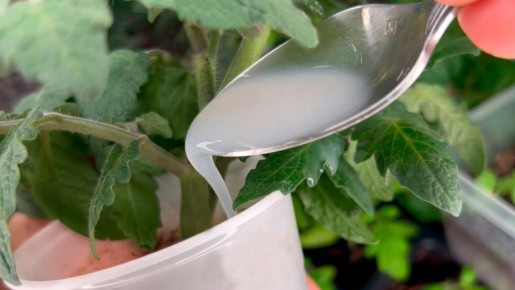 ������ � ����� ������������� �������: ��� ������ � ����� ��������� ������ � �����