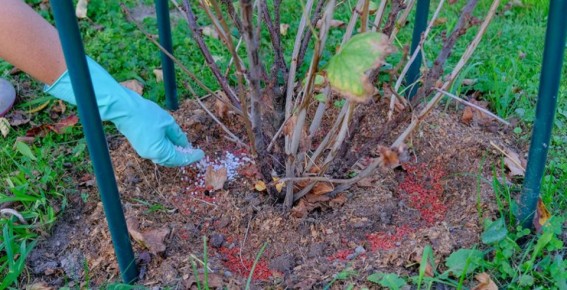 ���� �� ���������� � ��������: ��� ����� �����