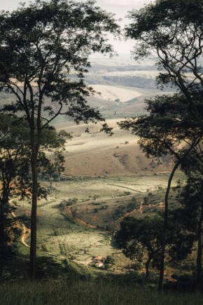 ������ ���� �� ������ ����������� ������ ��������� �� ����� ����