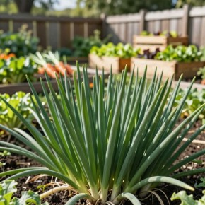 Ƹ���� ������ SOS: ��� ������ ������ �� ������ � ���������� ��� ��������� ����