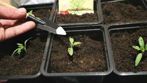 ��� ���������� ������� ��������� ������� ��������