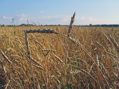 ��� ��������� ������������ ������� ��� ������� ��� ��������� ������