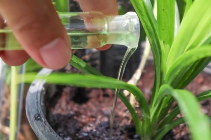 �������� �������: ������� ��������� �����������