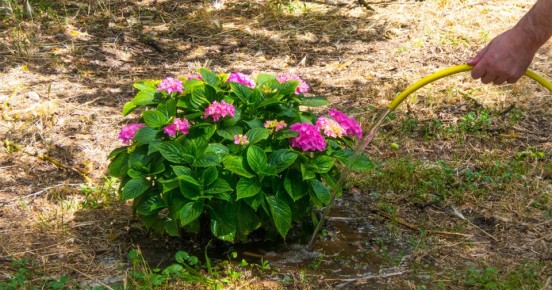 ������ �������� ���� �� �����������: �������� ������� � ��������